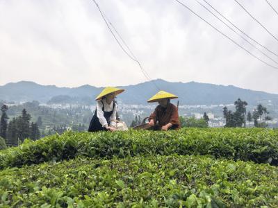 致敬白衣天使 聚力温暖前行