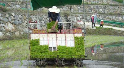 秦家坪村：科技赋能焕新农耕 乡风民情历久弥新