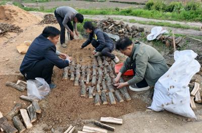 下堡坪乡：马宗岭村天麻扩种 特色产业提质增效
