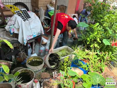 永兴社区：雨后初晴除积水 防蚊消杀护民生