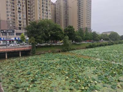 雨后的龙泉