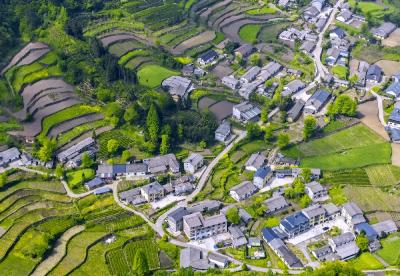 五月夷陵山翠如画 乡村振兴焕新山居
