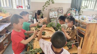 分乡分园：草本飘香迎初夏 巧手驱蚊润童心