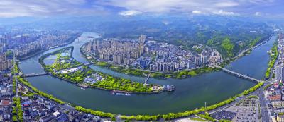 实干担当践初心 履职尽责护民安