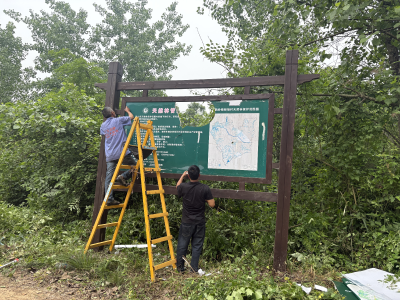 鸦鹊岭镇：天然林保护牌换装 打造林区“绿色名片”