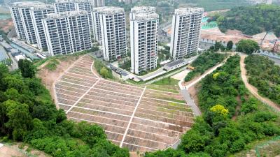 昔日闲荒地 今日俏菜园 居民家门口圆了“田园梦”