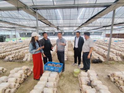 柏果埫村：学习考察取真经 开拓眼界谋发展