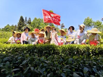 劳动砺成长 农耕悟初心 宜昌约读书房开展劳动节户外实践课