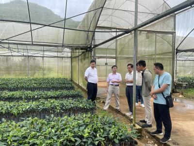 夷陵：学习赣州防控经验 助力柑橘产业发展