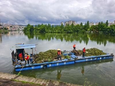 强降雨引发洪水 夷陵全力开展黄柏河清漂作业