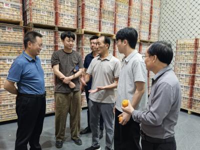 破解冷库损耗难 打造智慧示范园——柑橘体系首席科学家程运江带队支招夷陵产业升级