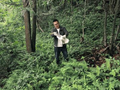 快速响应联动处置 科学救助野生大白鹭