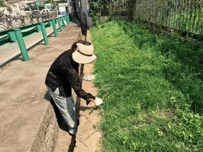 长江市场社区：开展人居环境专项整治 扮靓沿路风景线