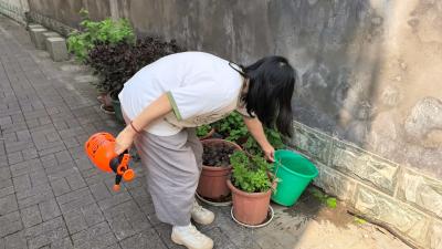 平湖社区：集中消杀除蚊虫 科学防控护健康