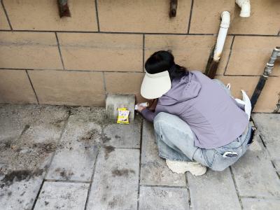 东湖社区：开展集中灭鼠行动 筑牢居民健康防护网