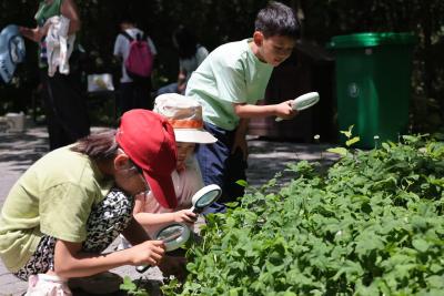 守护湿地生态 共赴绿色山海