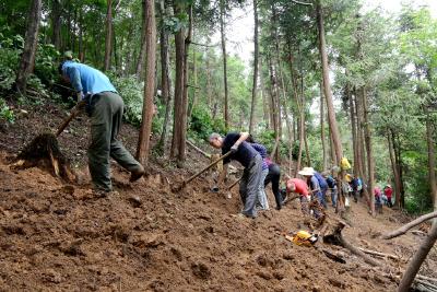 下堡坪200亩林下天麻种植示范基地抢抓农时推进种植