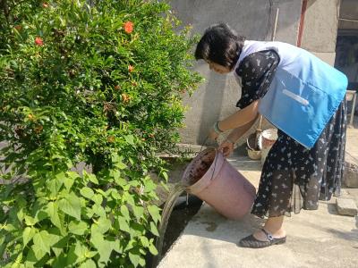 长江市场社区：开展 “翻坛倒罐” 专项行动 筑牢防蚊灭蚊防护网
