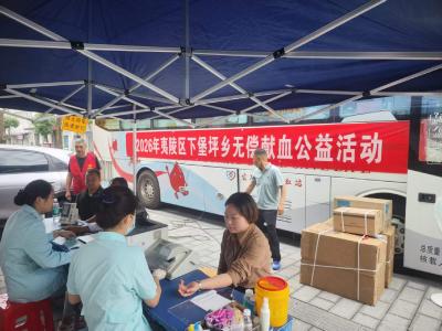 【新时代文明实践】下堡坪乡：热血暖乡野 爱心护生命