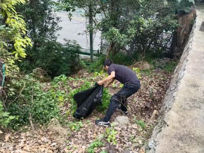 望江社区：多措并举办实事 筑牢环境安全线