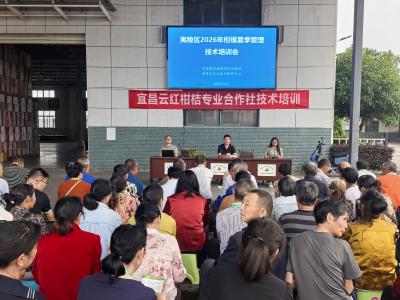田间课堂开在果园里 夷陵百名橘农集中“充电”学技术