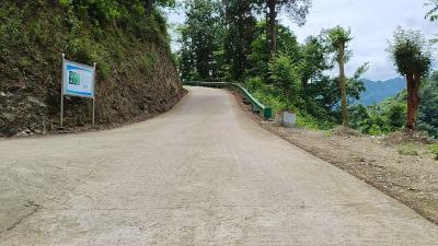 桃坪河村：养护村级公路  筑牢安全防线