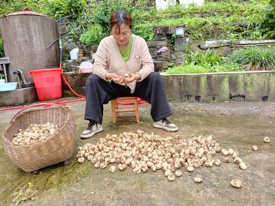 赵玉华：用爱撑起一个家 以德温暖一片乡