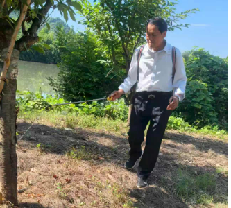 锦湖社区：消杀白蚁护绿植 筑牢社区安全屏障
