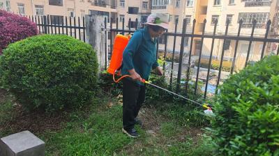 平湖社区：雨后除蚊护健康 多措并举筑防线