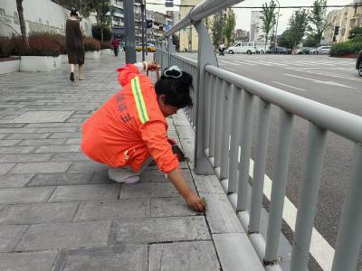 环卫工人除苔草  步道洁净便民行