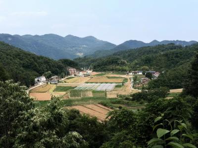 樟村坪镇古村村：百万沟渠解涝忧 沃土引来产业兴