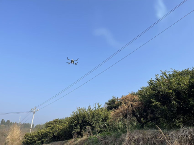 新桥边村：智能飞防提质效 科技护橘促丰收