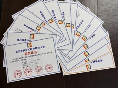 第40届湖北省青少年科技创新大赛结果揭晓 夷陵区斩获多项奖项