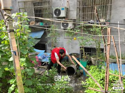 永兴社区：雨后天晴清死角 翻盆倒灌防蚊害