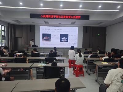 平湖社区：探茶艺之美 品文化之韵