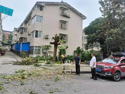 黄金卡社区：闻“风”而动除隐患，未雨绸缪筑防线