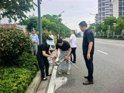 夷陵审计：关注市政工程建设 筑牢民生工程质量防线