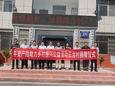 鸦鹊岭镇：政企同心聚合力 爱心捐赠助振兴