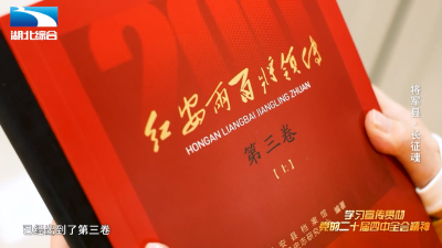 《是这个理》：将军县·长征魂