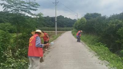 跑马岗村：“管家”引领志愿红 共建共享美家园