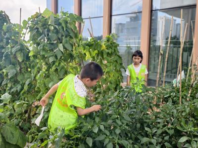 书香润童心 耕读启盛夏