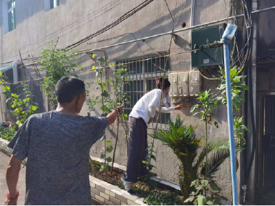 南津关村：特困老人家中线路烧坏 志愿者及时维修除隐患