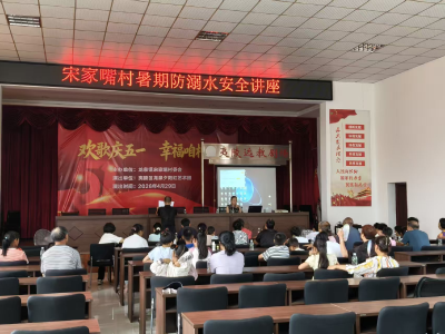 宋家嘴村：进村宣讲防溺水 安全意识不松懈