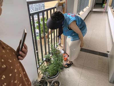 绿洲社区：入户排查除隐患 守护居民安全家园