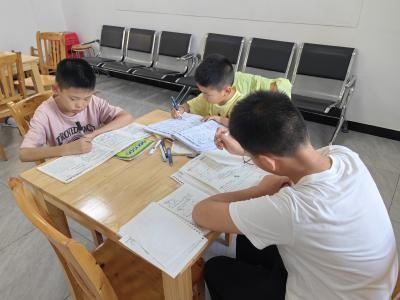 下坪村：志愿添暖意 暑托伴童行