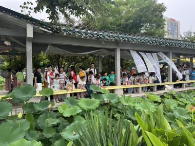 赏一池荷色 绘一纸清欢