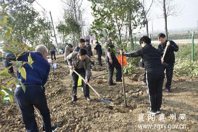 襄州区组织机关单位工作人员开展植树活动