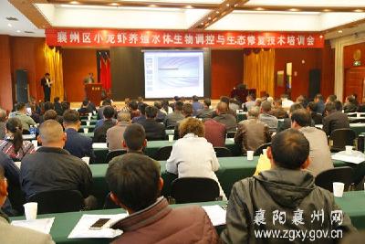 襄州区召开小龙虾养殖水体生物调控与生态修复技术培训会
