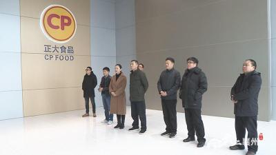 省科技厅领导到襄州区调研乡村振兴科技创新示范基地建设工作  