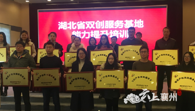 襄州区科技创业服务中心被授予“知识产权双创服务基地”和“知识产权双创服务工作站” 